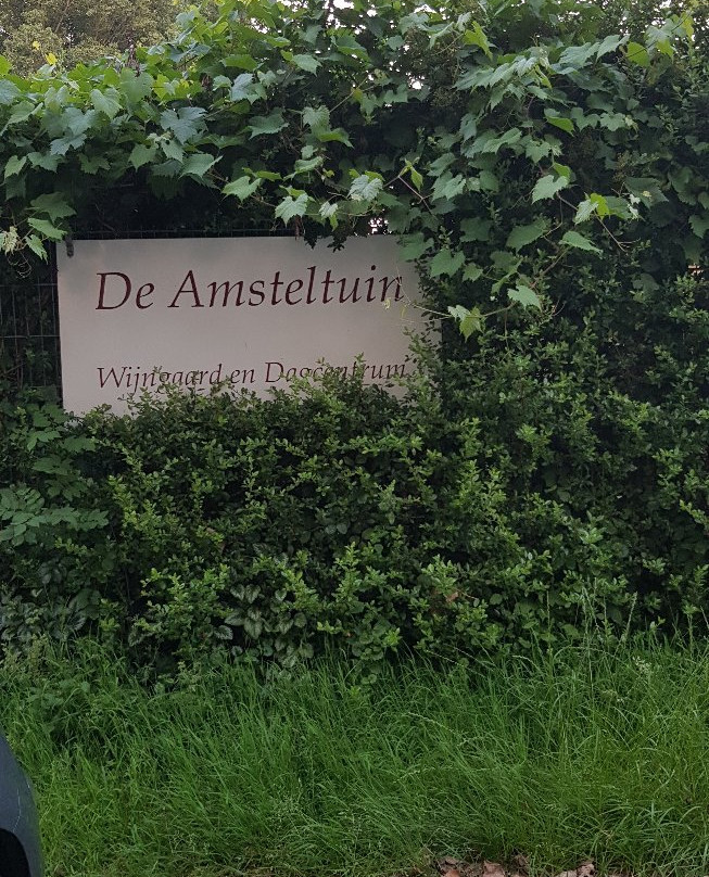 Wijngaard de Amsteltuin景点图片