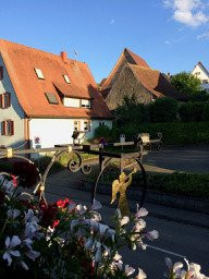 Hotel Restaurant Engel主图