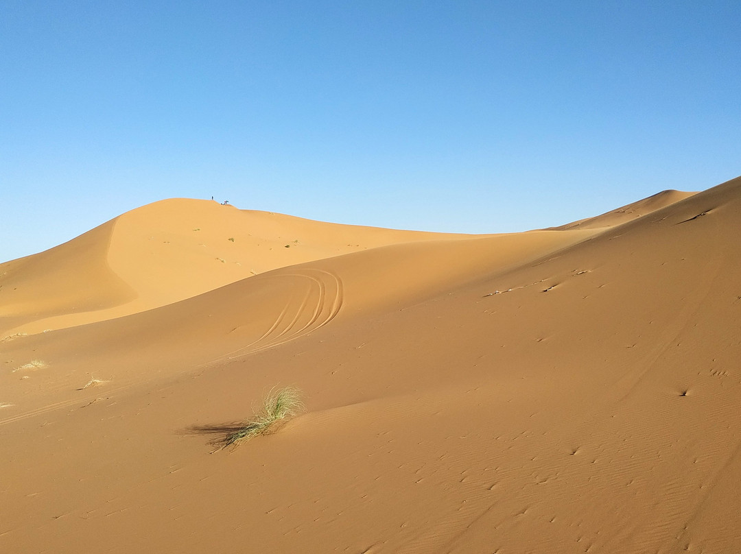 Rutas Al Desierto-马拉喀什必去景点