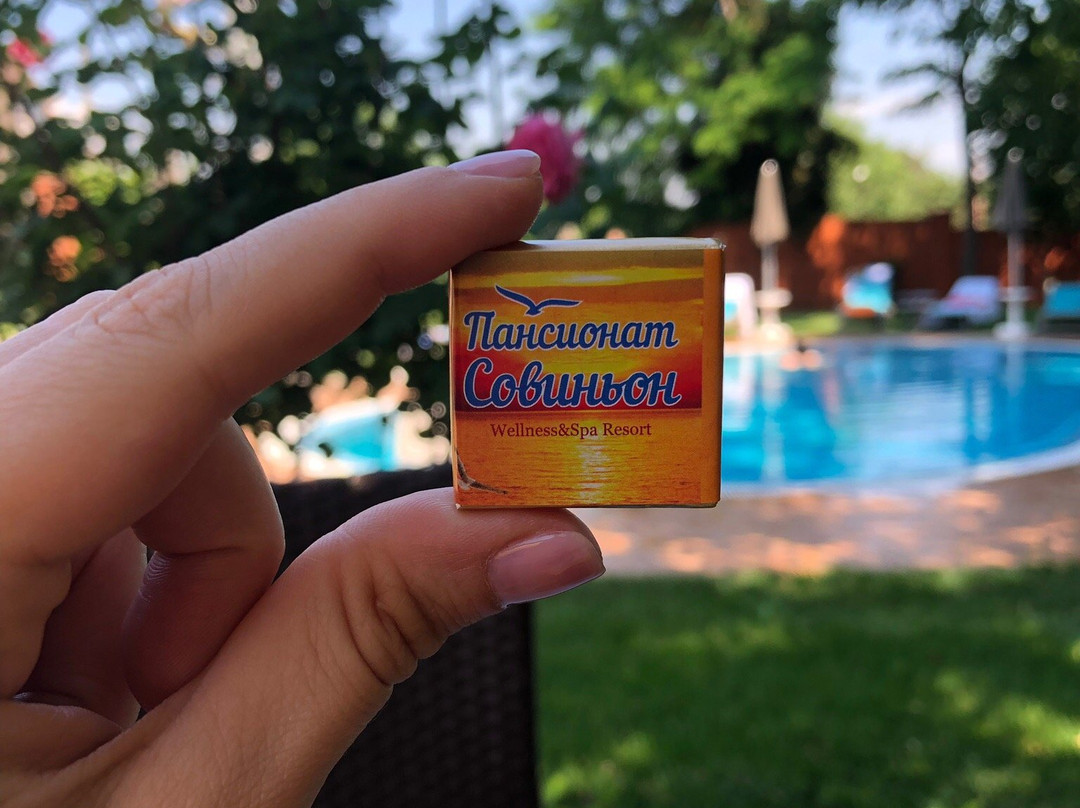 Sovinyon Resort主图