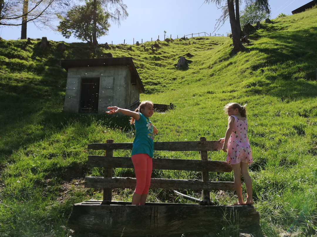 Thierbach旅游攻略图片