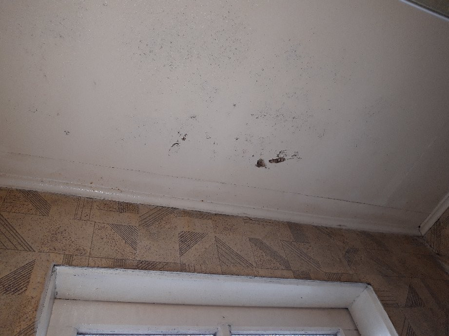 Casa Hostal Kolping主图