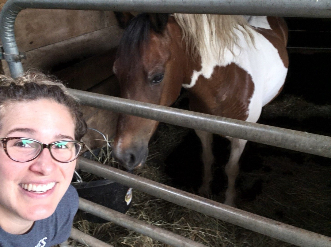 Learning Tree Farm-代顿必去景点