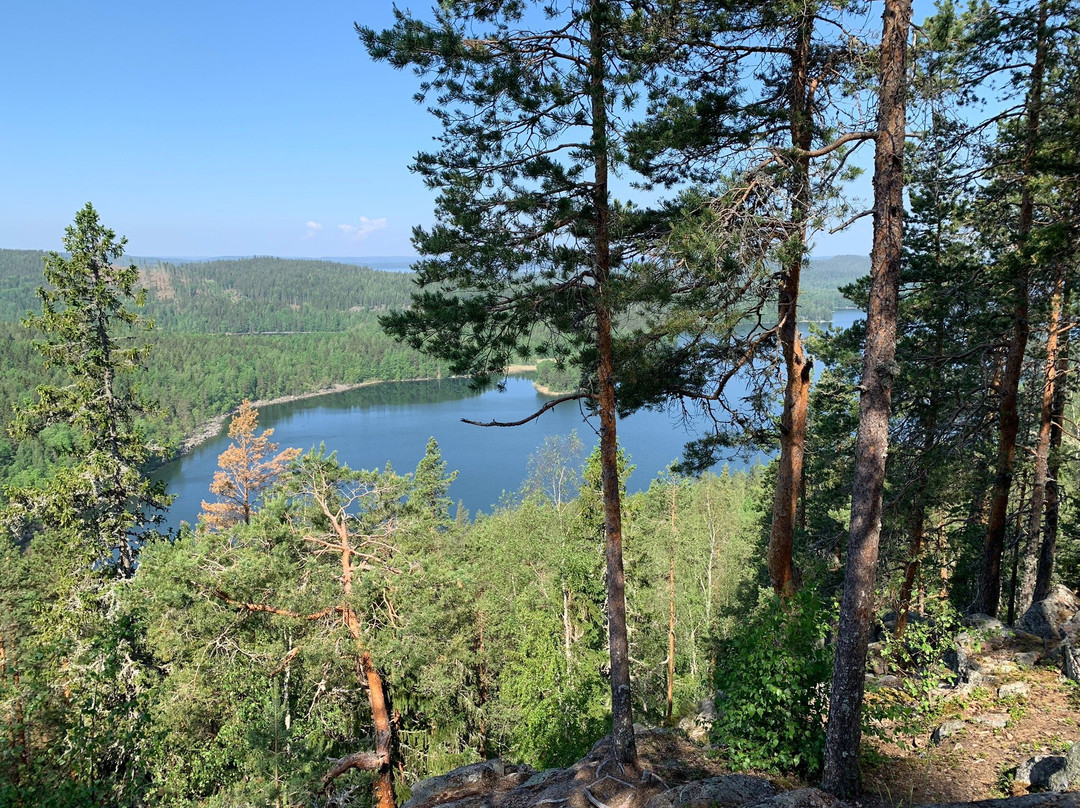Kammiovuori Trail-Sysma必去景点