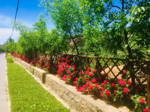 大连小黑山-大连市必去景点