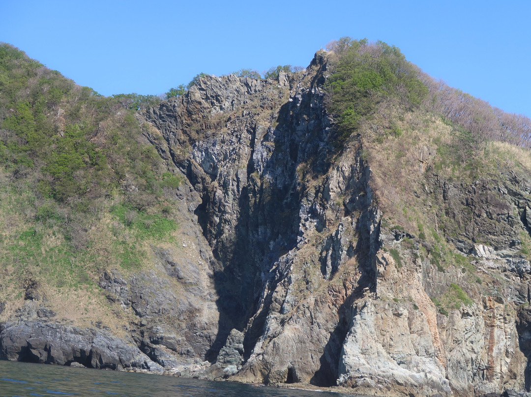Sai-Hotokegaura Sightseeing Boat景点图片
