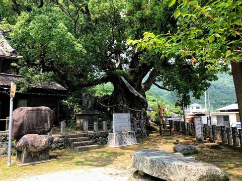 Suga Shrine-须崎市必去景点