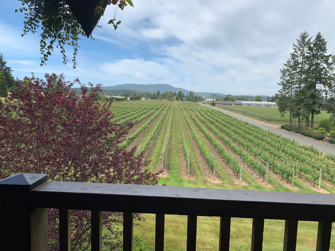 Church and State Wines -Brentwood Bay景点图片