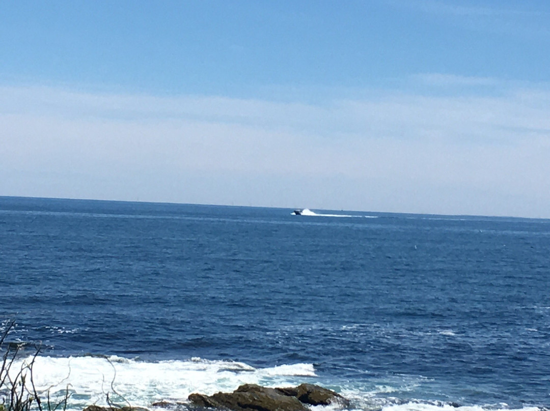 Beavertail Lighthouse and Park景点图片