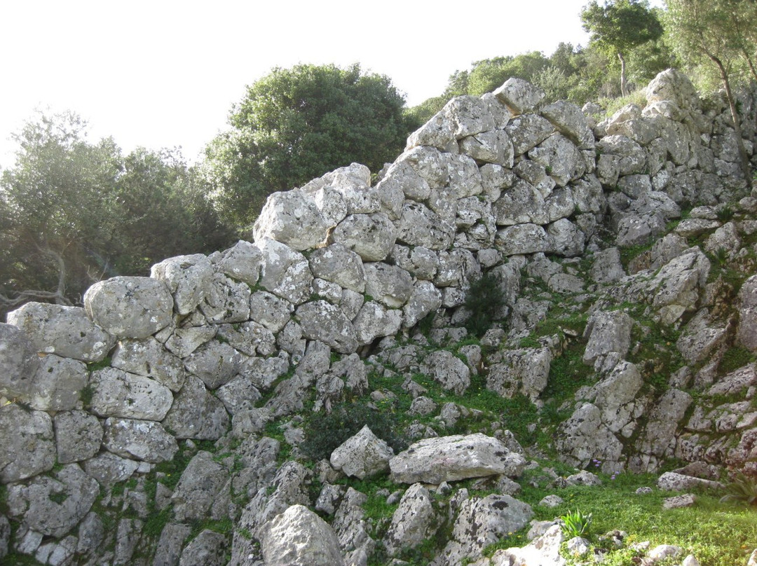 Acropolis of Alalkomenes景点图片