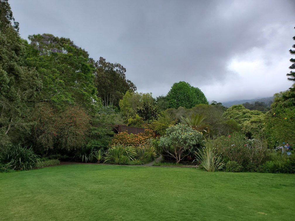 库拉植物园景点图片