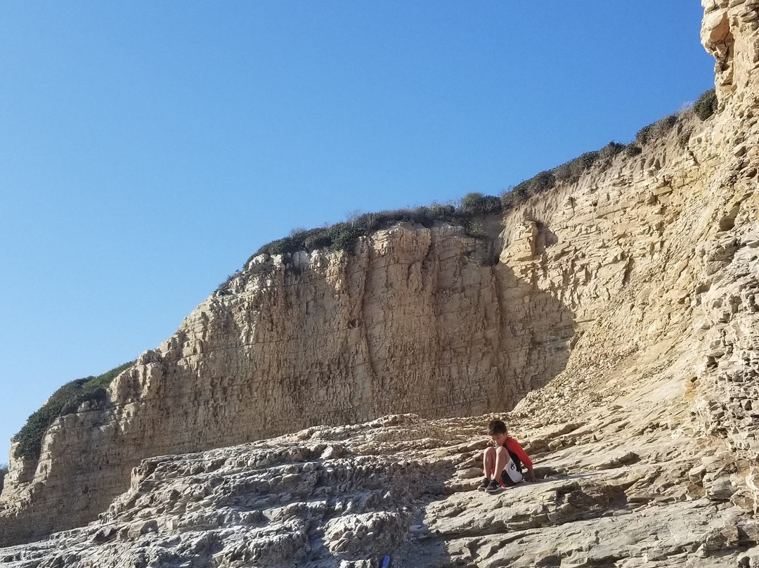 Panther Beach-圣克鲁斯必去景点