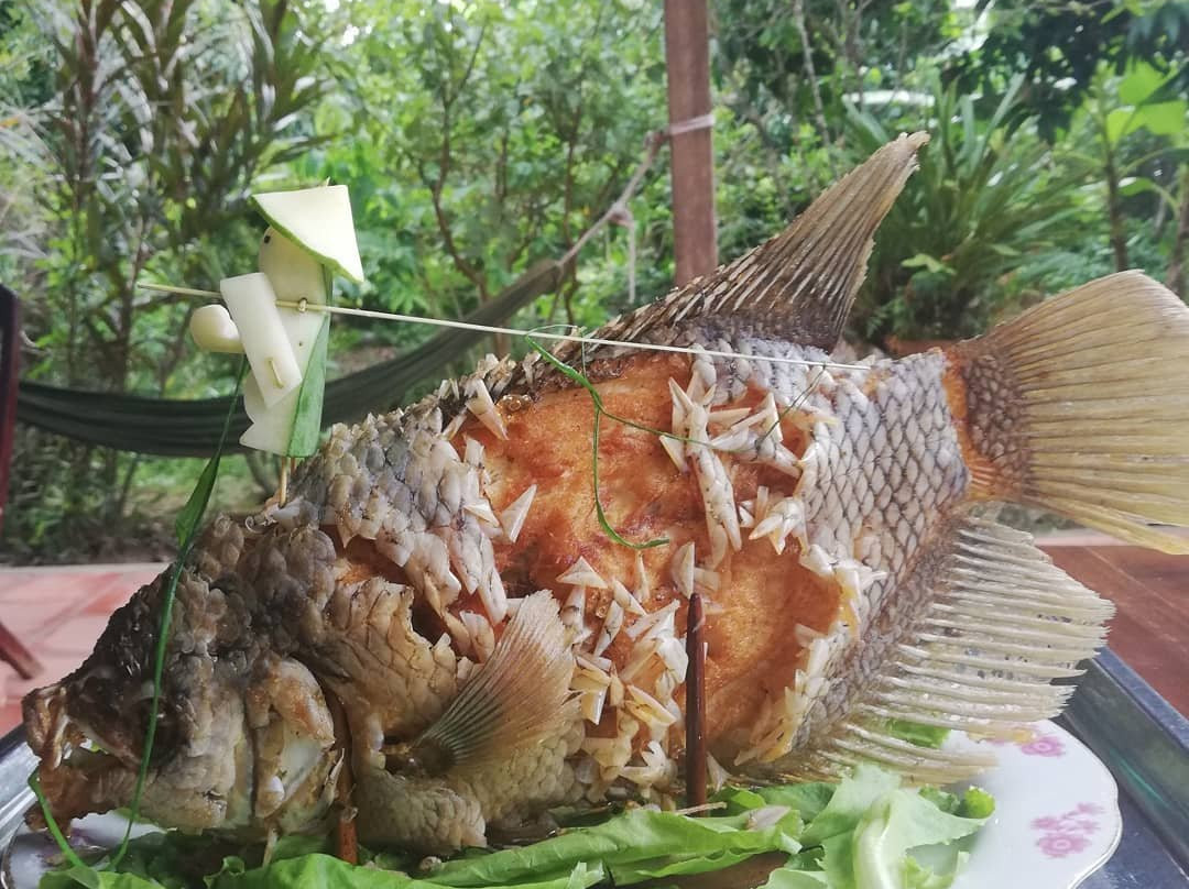 Ba Linh Homestay主图