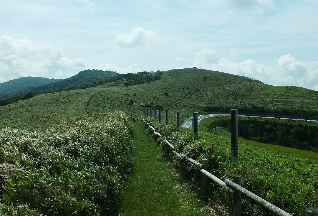 Nishiamagi Highlands-西伊豆町必去景点