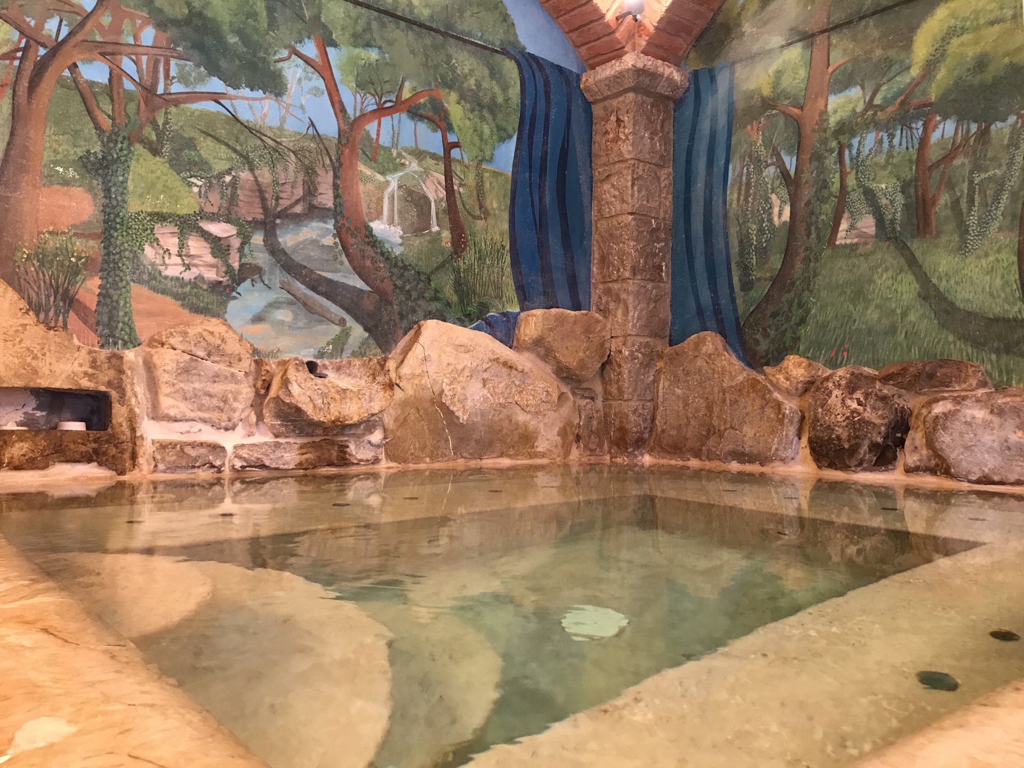 Hotel Le Pozze di Lecchi-泳池