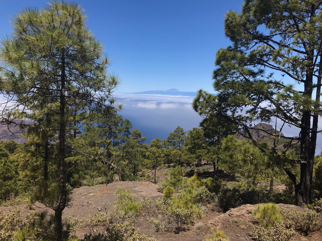 Trip Gran Canaria景点图片