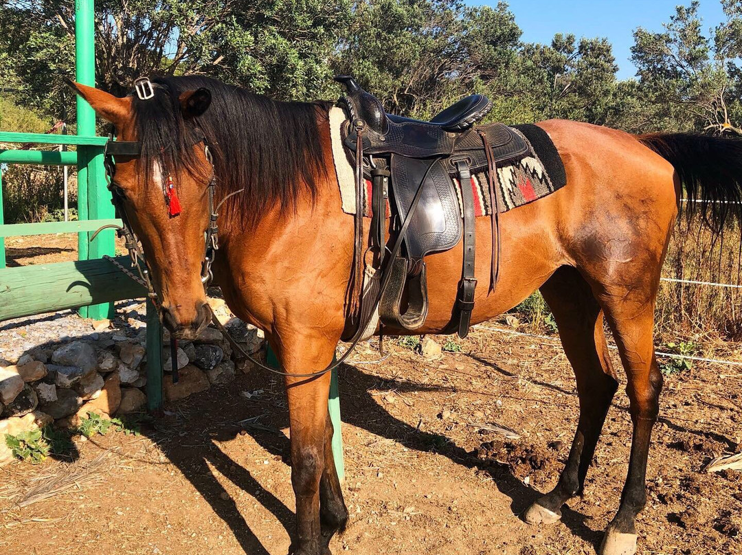 Horse Riding Aponisos景点图片