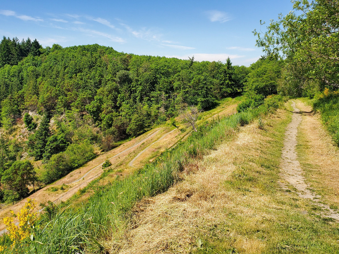 Maury Island Marine Park-Vashon必去景点