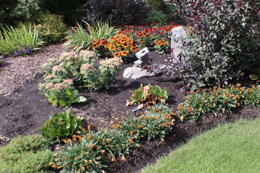 Olds College Botanic Gardens & Constructed Wetlands景点图片