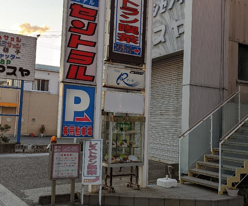 Business Hotel Central