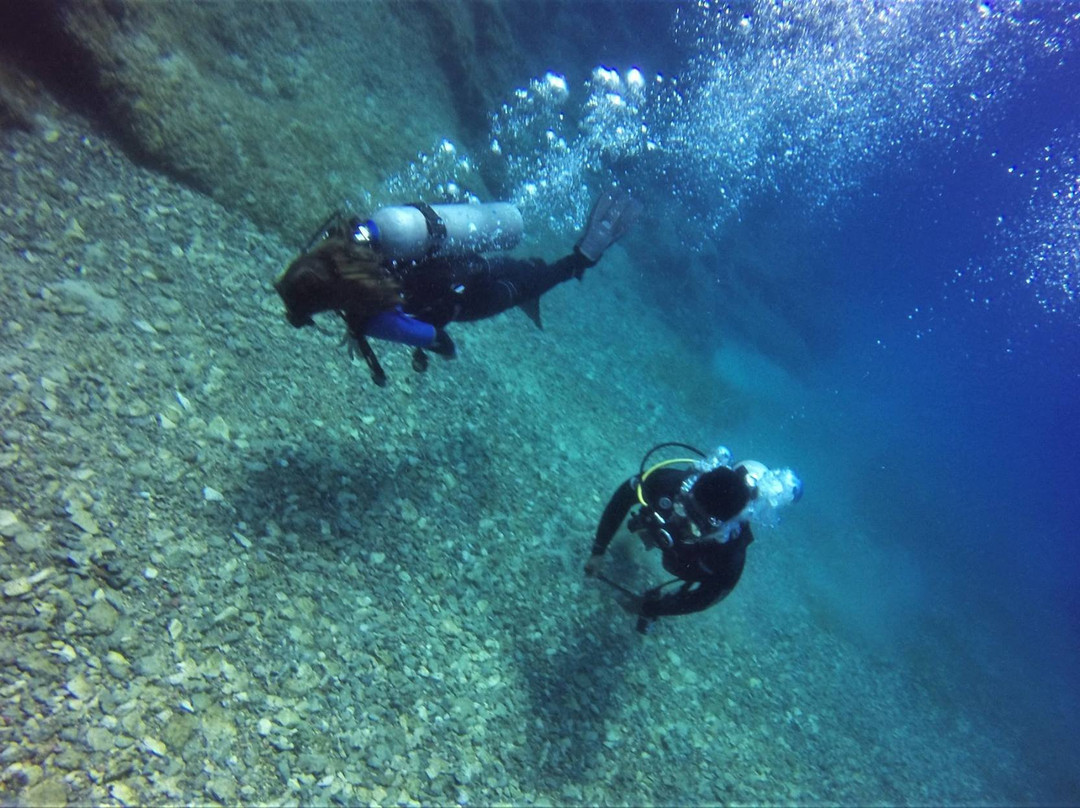 Chania Diving Center景点图片
