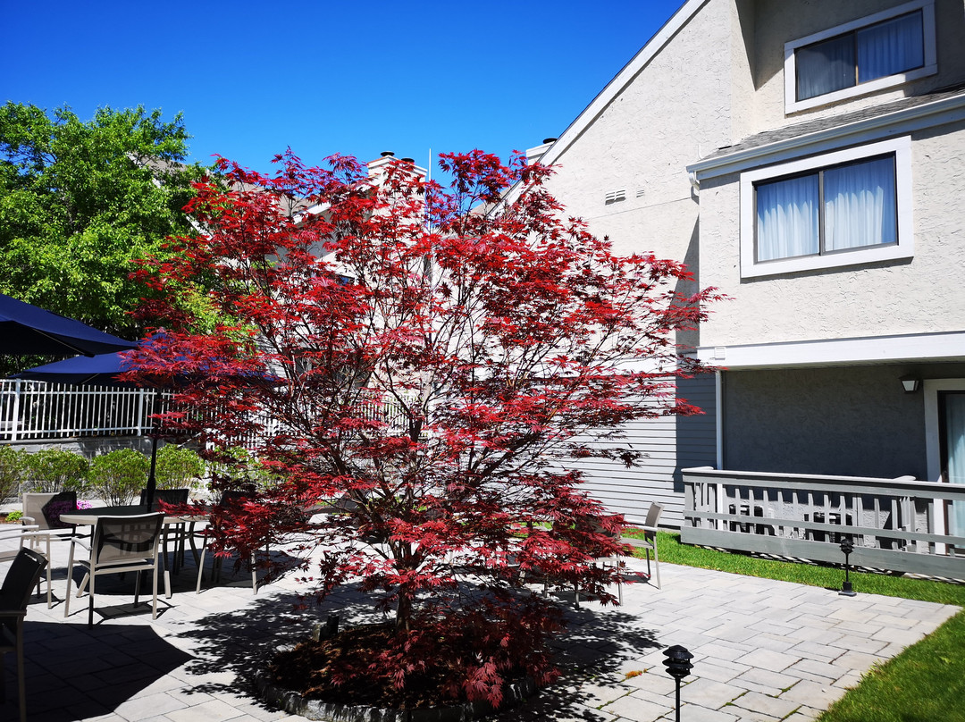 New Haven Village Suites主图