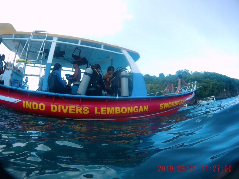 Indo Divers Lembongan景点图片