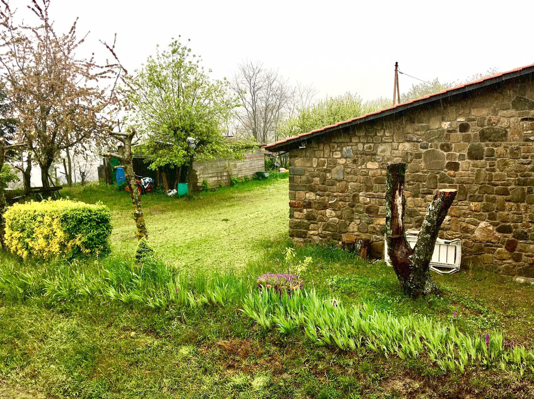 B&B Vista Casentino主图
