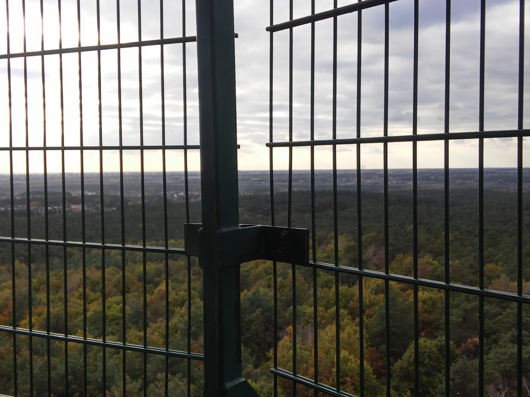 Lookout Tower at Dziewicza Góra景点图片