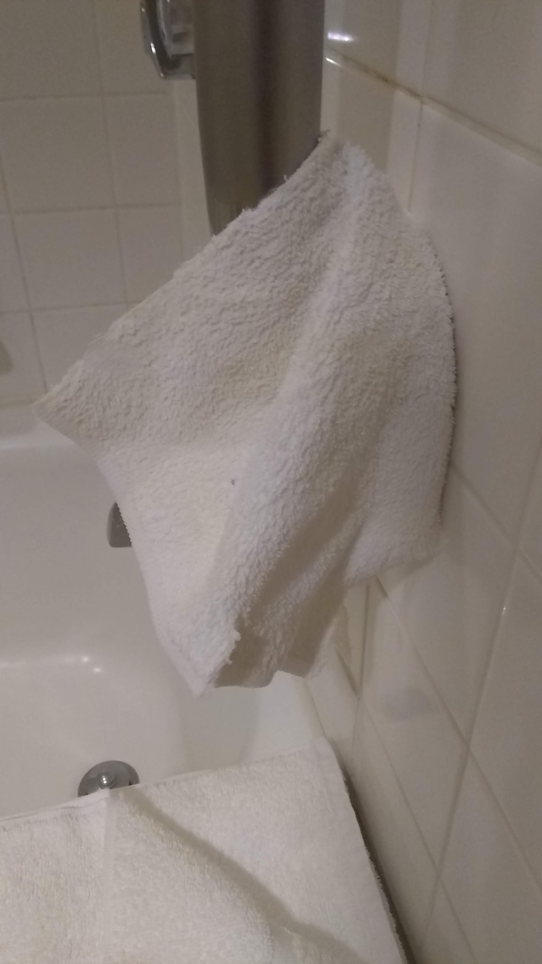 Pittsburgh Airport Marriott-浴室