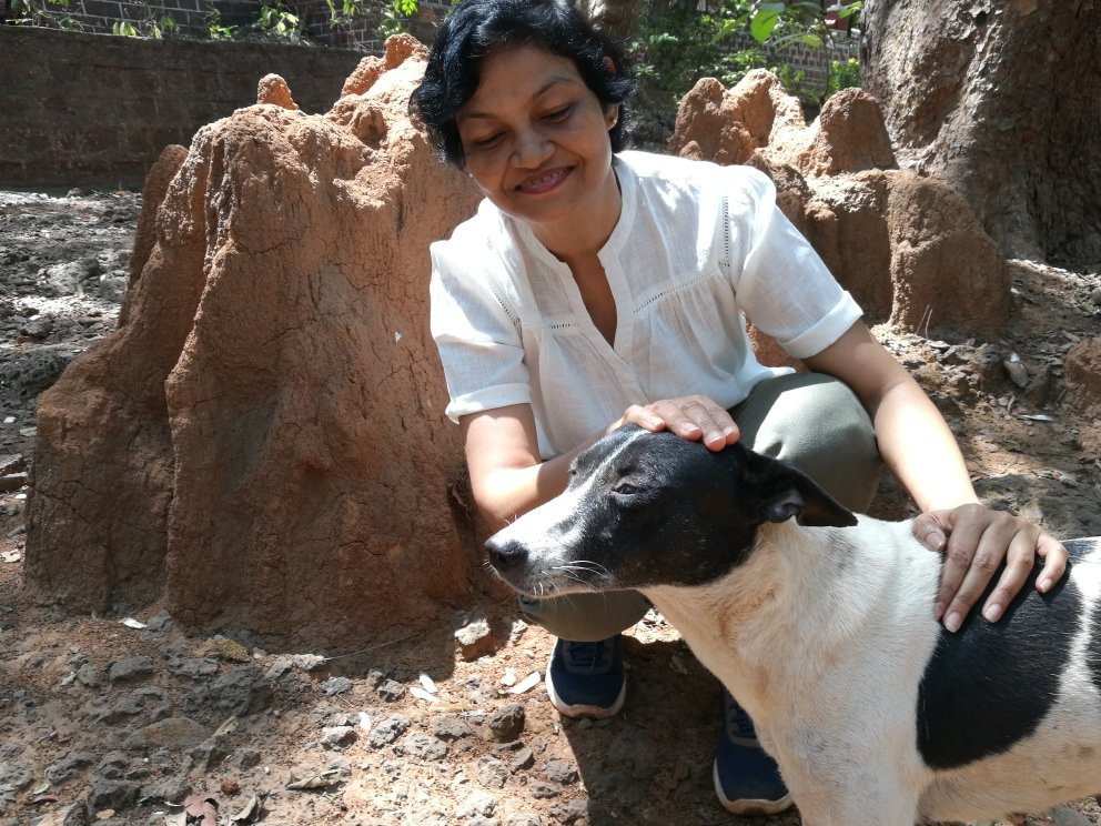 Treebo Cecil Resort主图