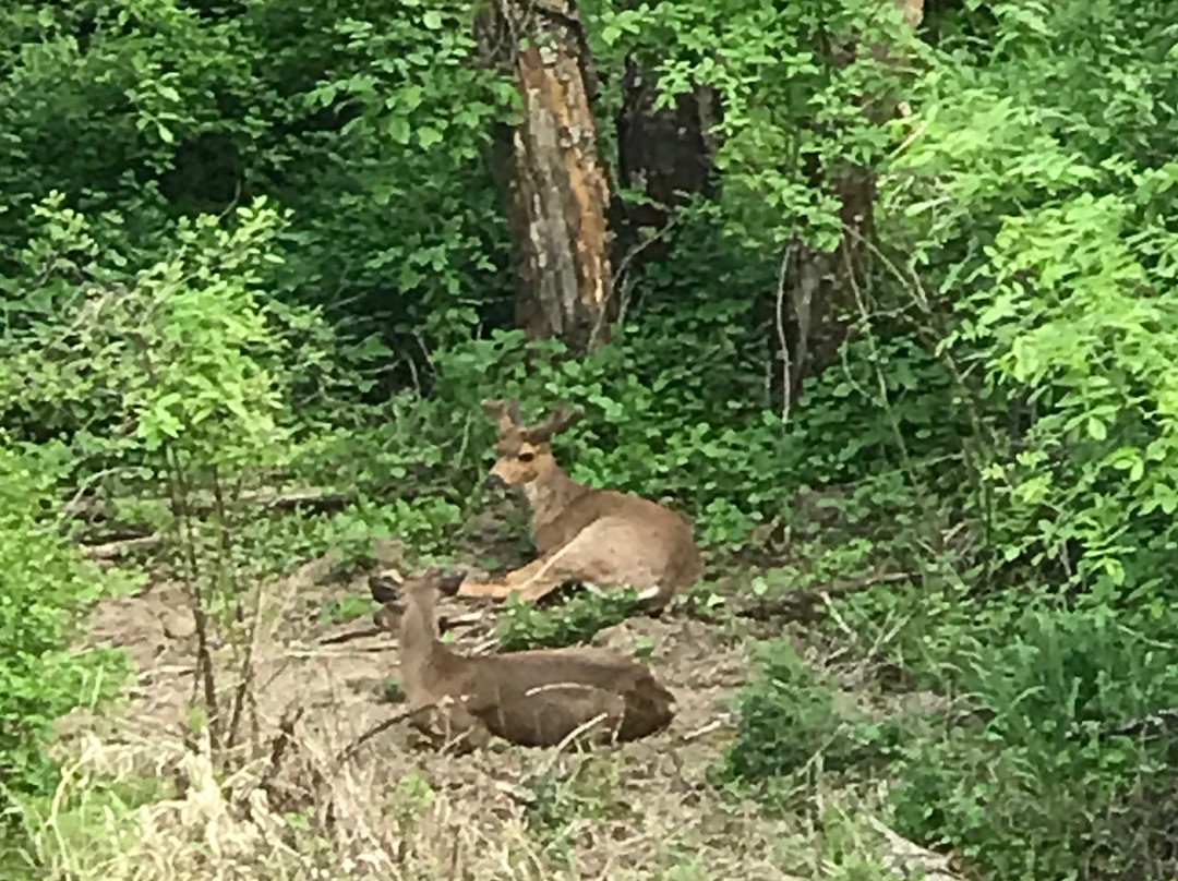 Fanno Creek Greenway Trail-比弗顿必去景点
