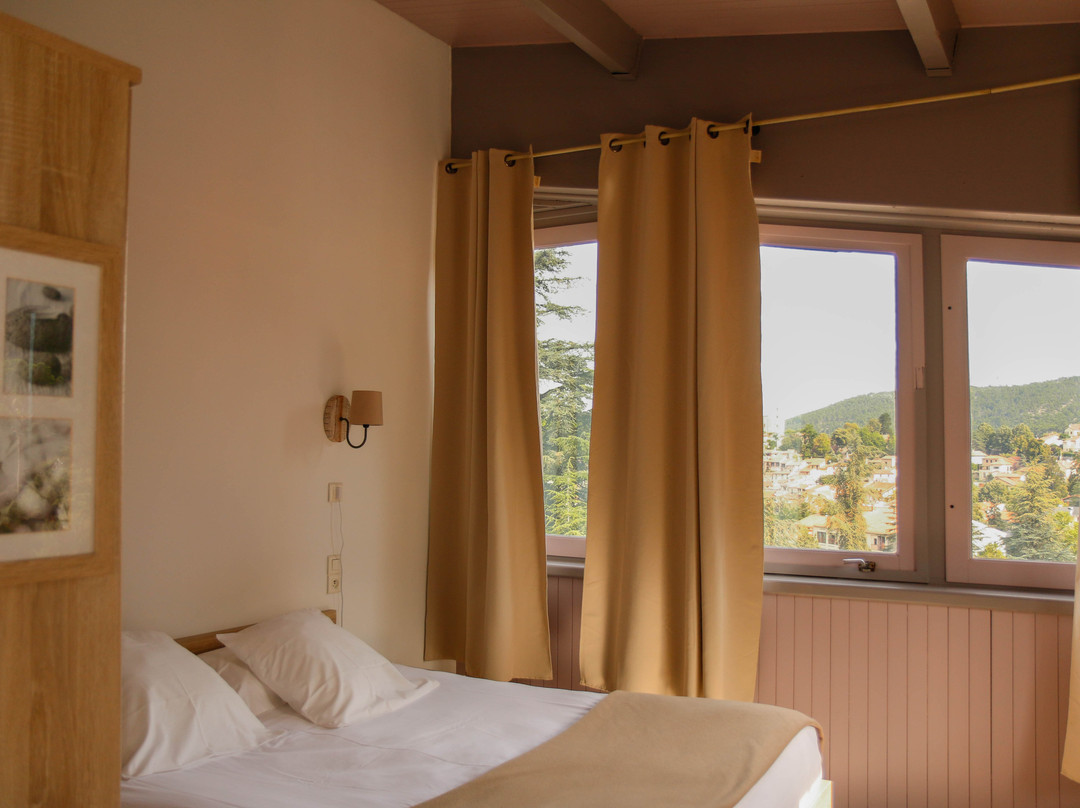 Hotel Les Sources主图