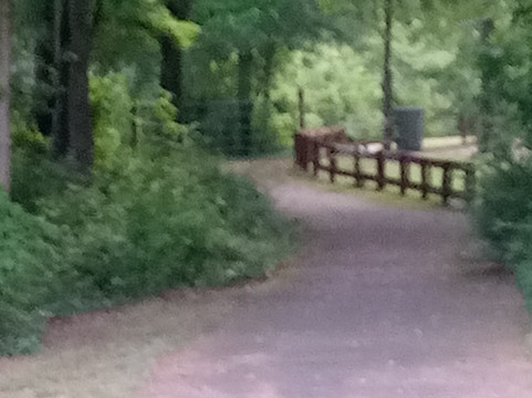 Boyd Pond Park-艾肯必去景点