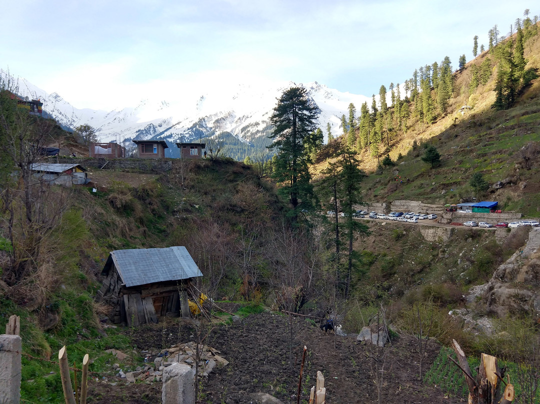 Pink Floyd Cafe主图