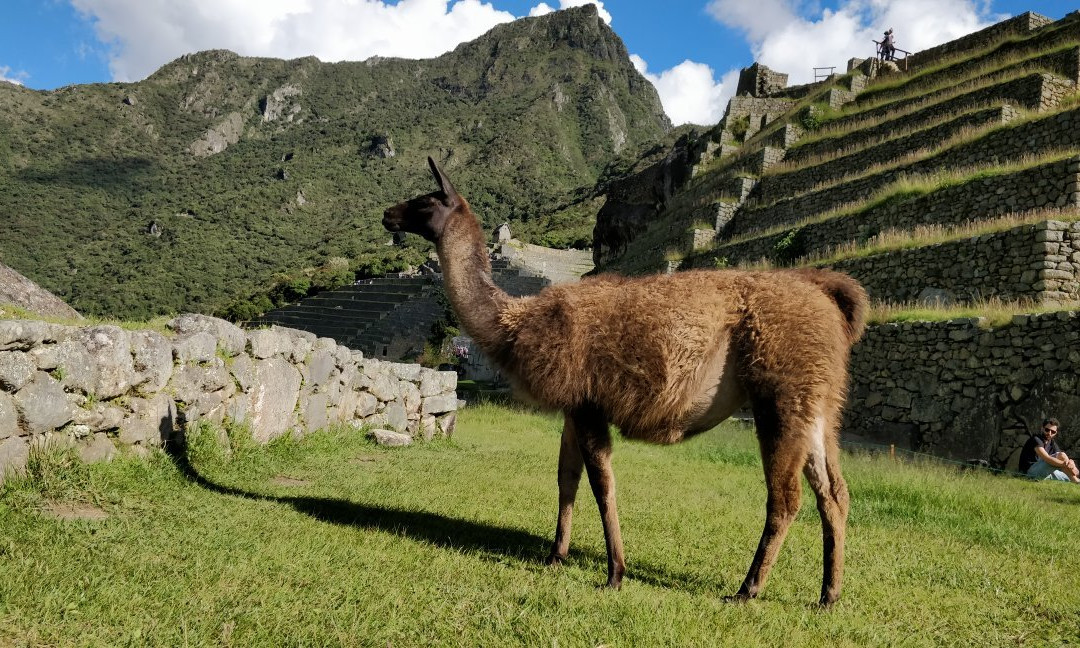 CuscoPeru景点图片