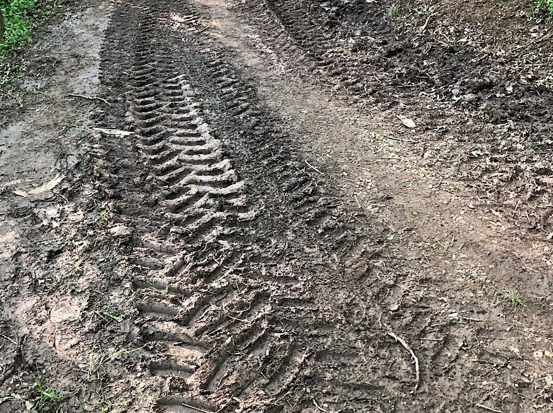 McDonough Wildlife Refuge-维也纳必去景点