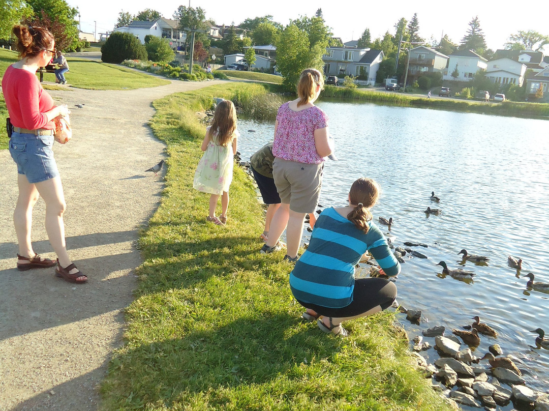 Gillies Lake Conservation Area-Timmins必去景点