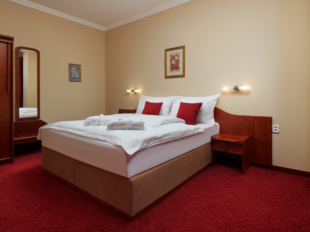 Wellness Hotel Luzan主图