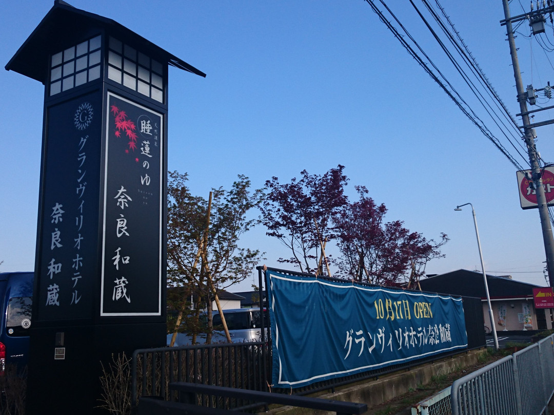 Grand Vrio Hotel Nara Wakura主图