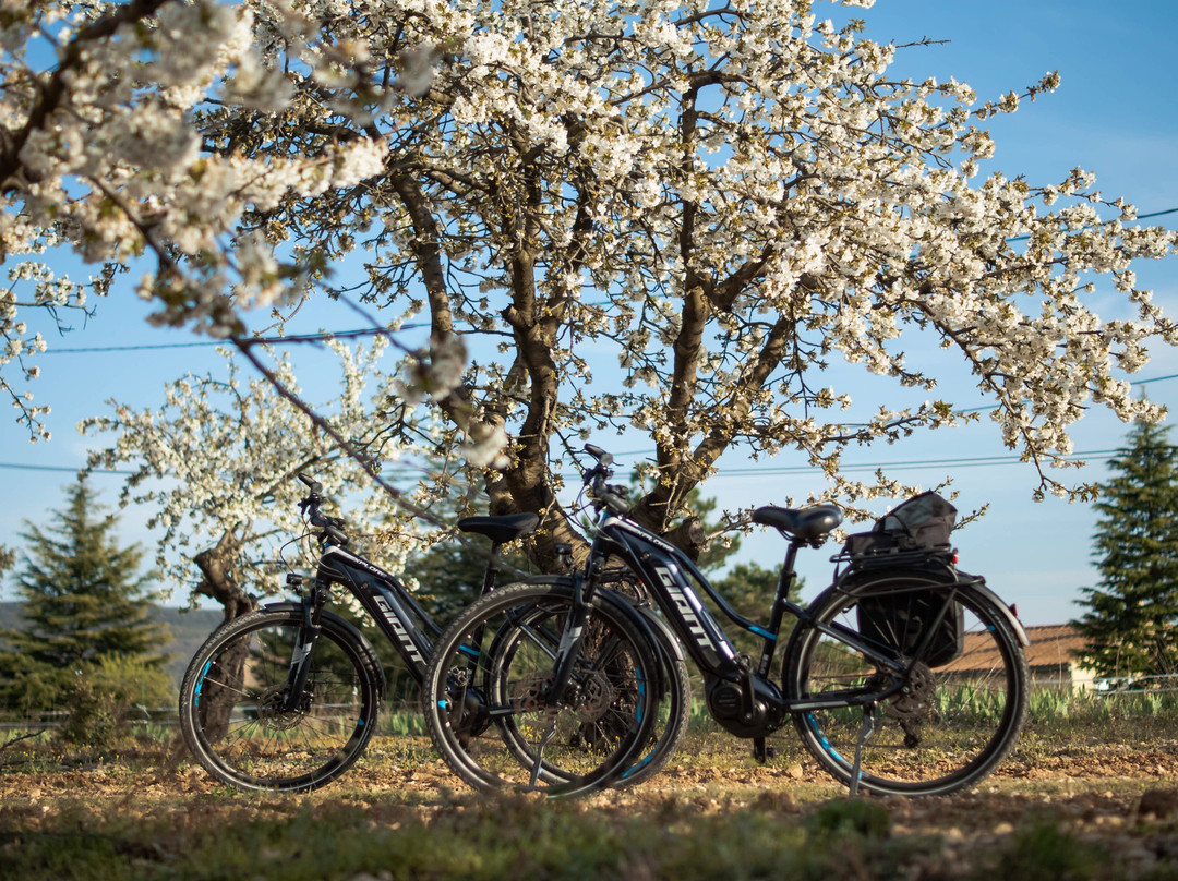 Rent Bike Luberon景点图片