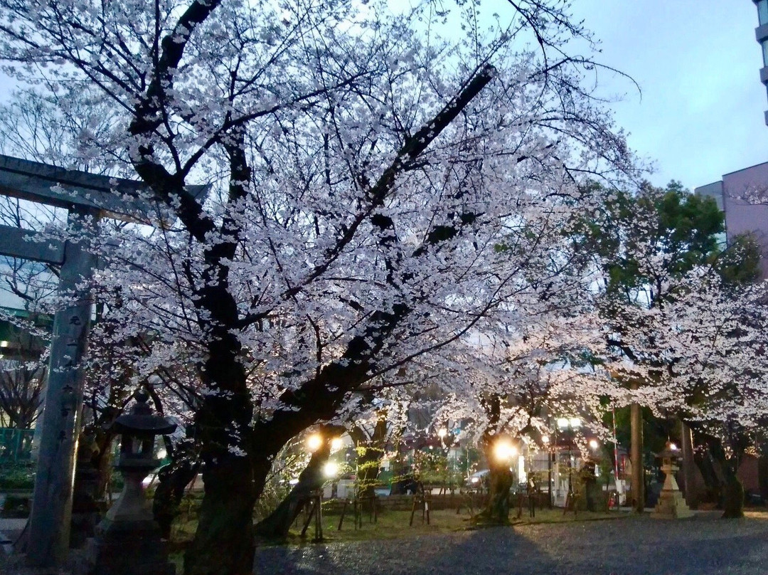 Wakamiya Hachimansha Shrine-Sakae必去景点