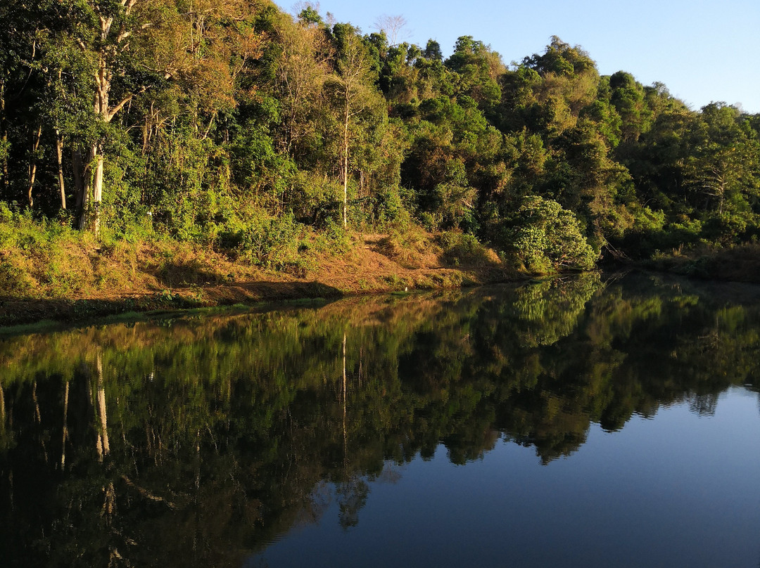 Seima Protection Forest-森莫诺隆必去景点