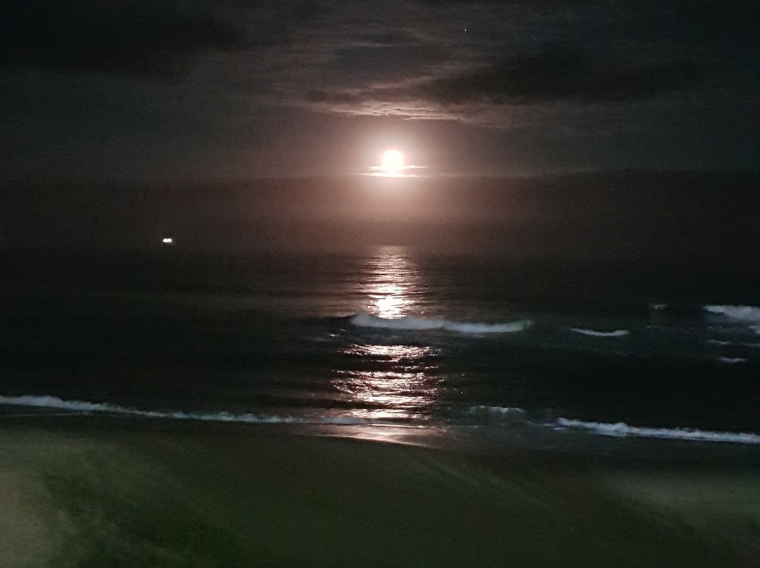 The Capital Pearls主图