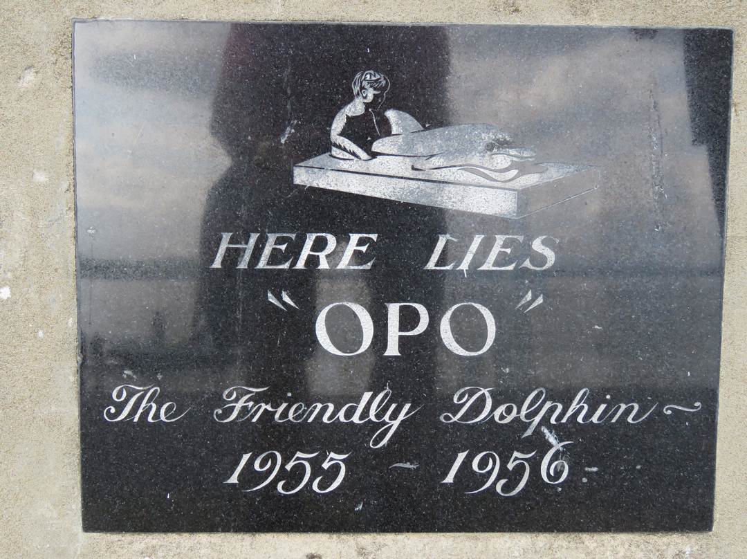 Opo the Dolphin Statue景点图片