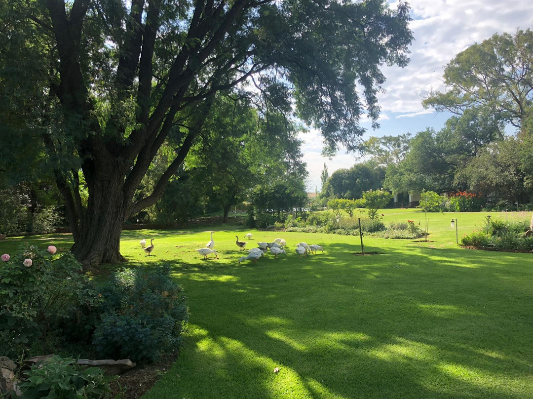 De Oude Kraal Country Estate and Spa主图