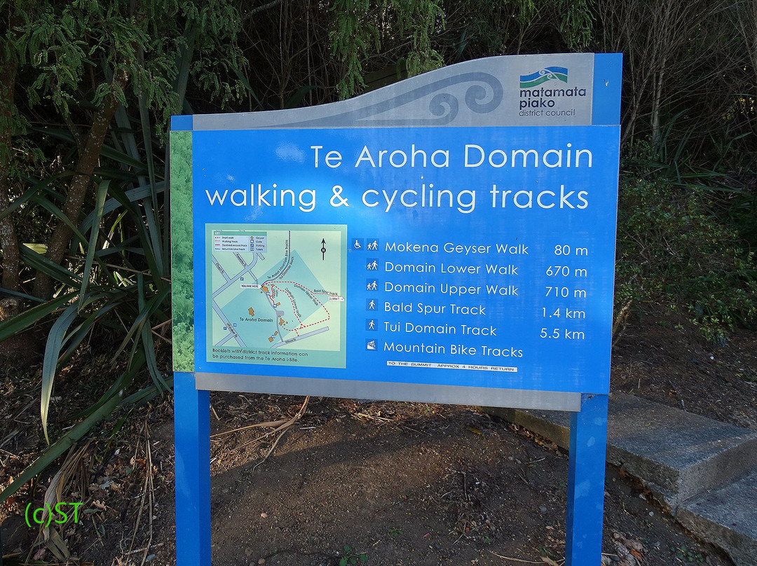 Te Aroha Visitor Information Centre- 蒂阿罗哈必去景点
