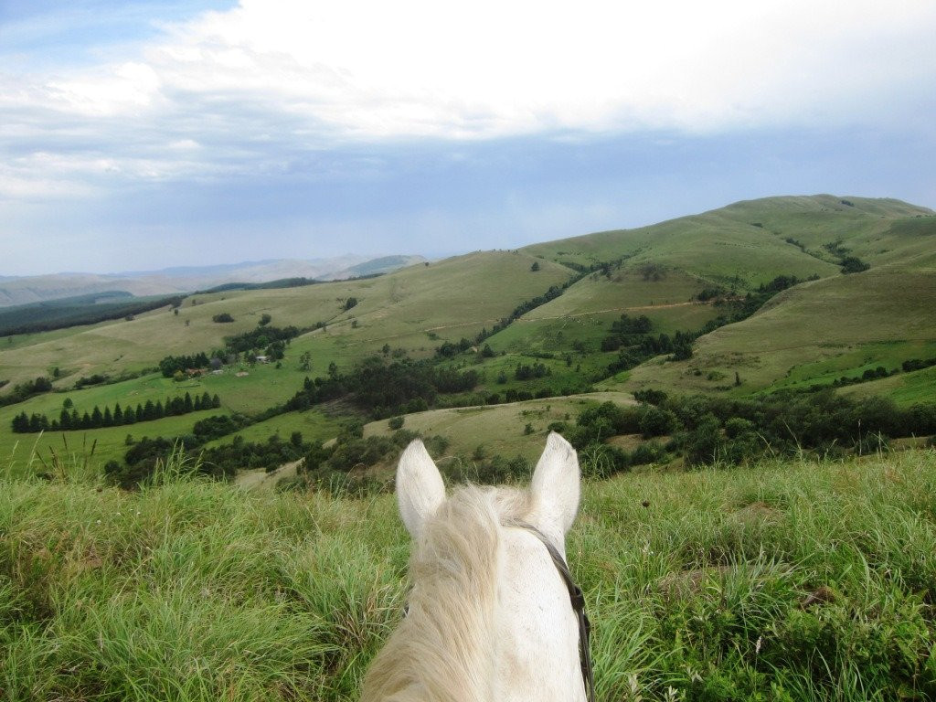 Stormy Hill Trails & Tails-Boston必去景点