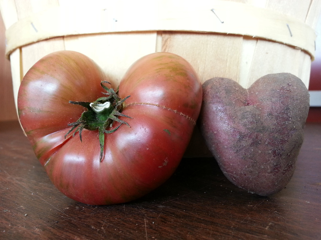 Minnesota Fresh Farm-East Bethel必去景点