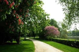Parc Honore de Balzac景点图片